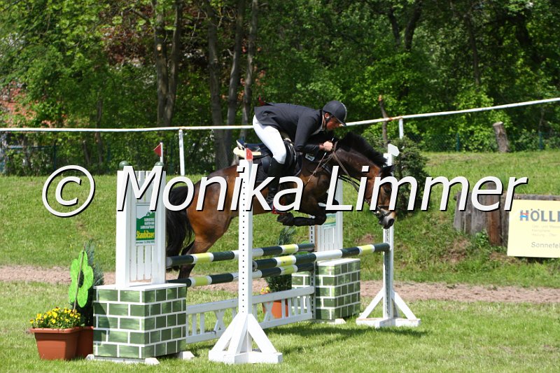 005M4858_Merlin_Stil A.JPG